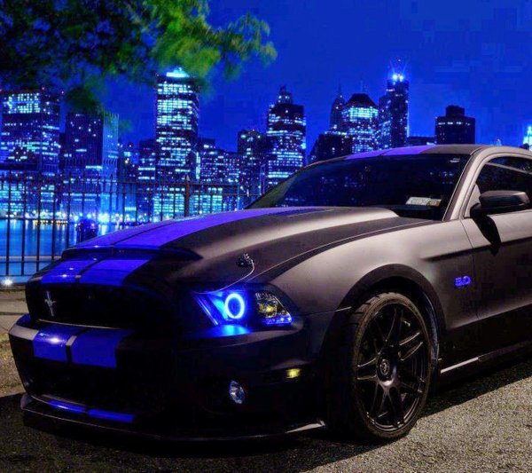 черный мустанг