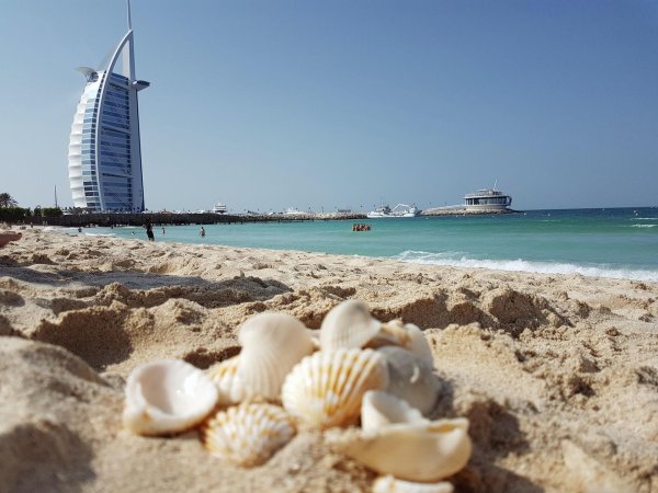 оаэ шарджа море