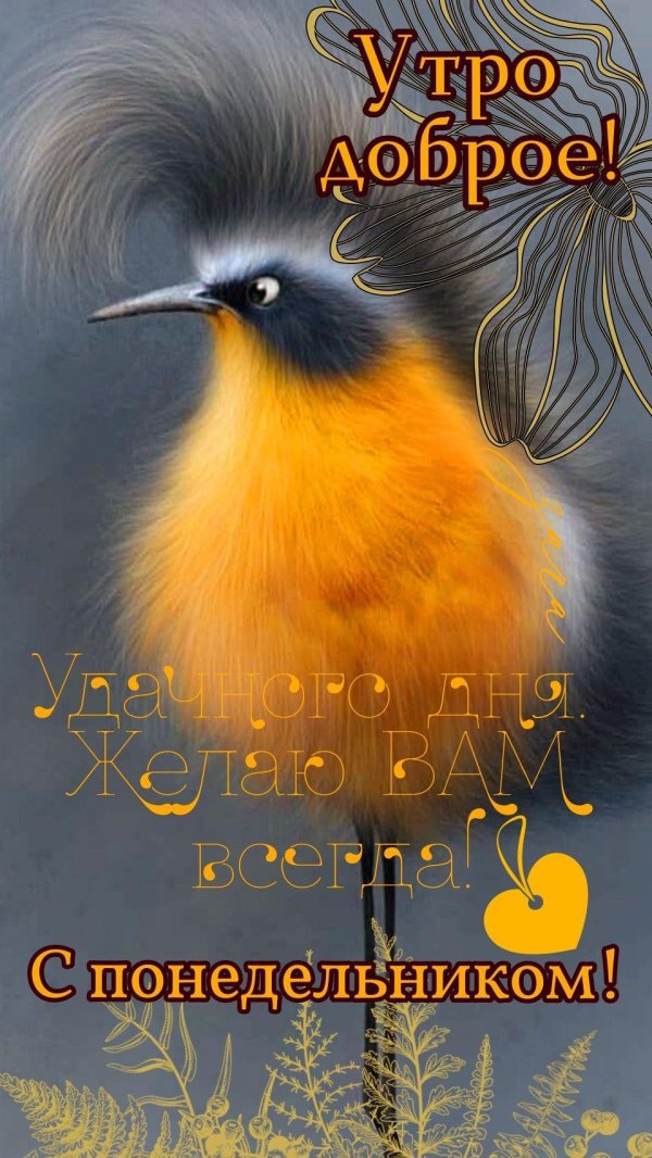 доброго понедельника птицы