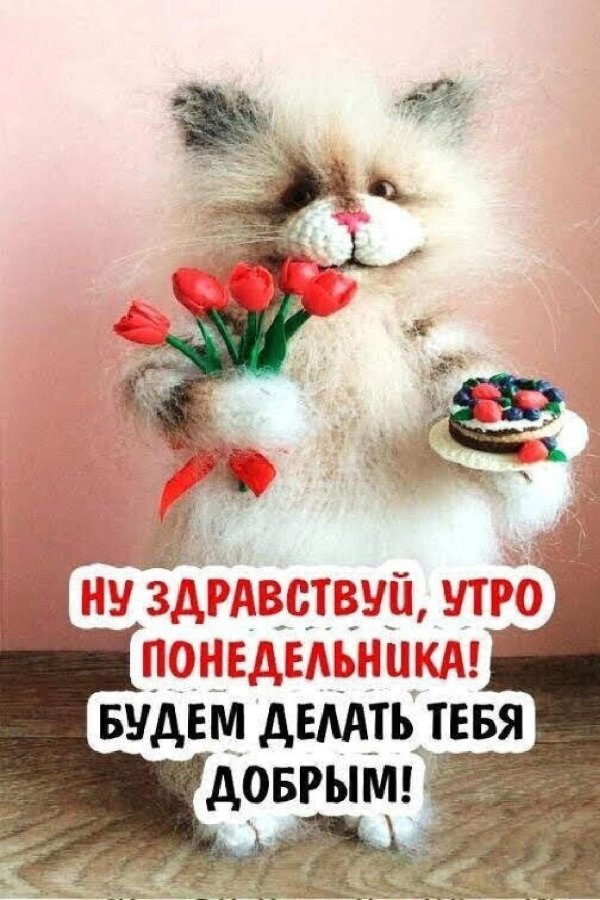 доброго понедельника
