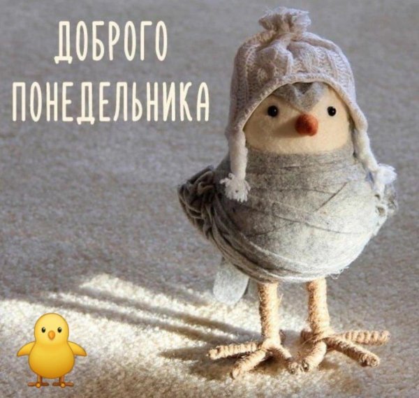открытки с понедельником