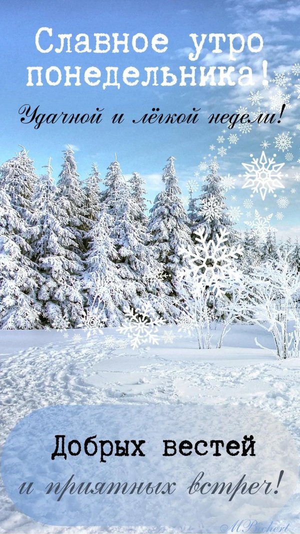 доброго зимнего утра понедельника
