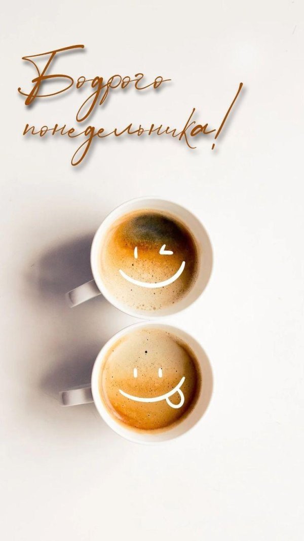 бодрого понедельника