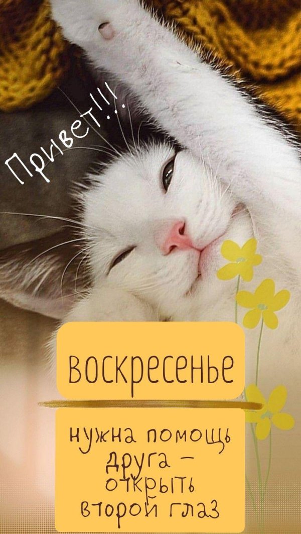 теплый привет