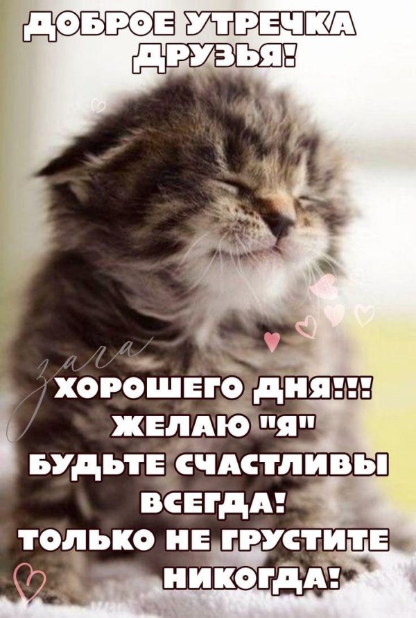 пожелание доброго утра и хорошего дня