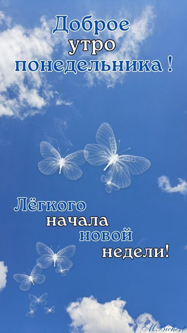 хорошего начала недели доброе утро
