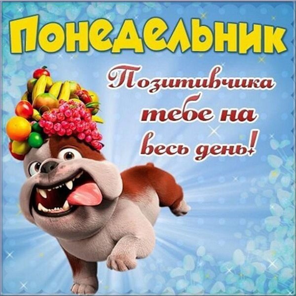 с понедельником прикольные пожелания