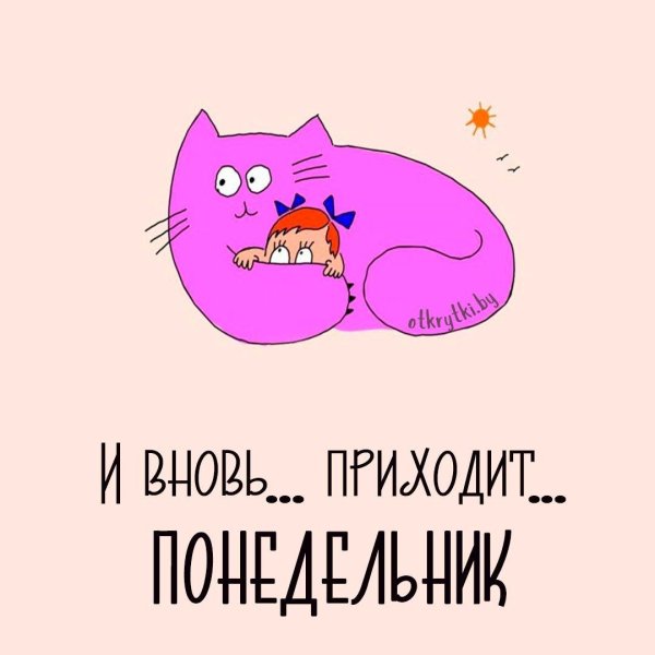 чем порадовать котенка в этот чудный понедельник