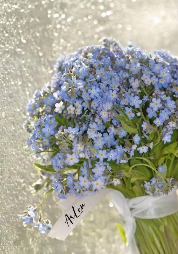 красивый букет незабудок