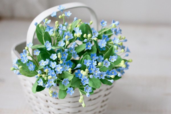 фиалка букет незабудок