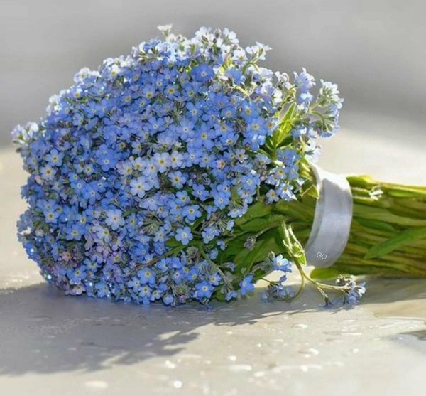букет синих роз с гипсофилой