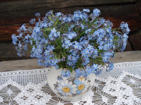 фиалка букет незабудок