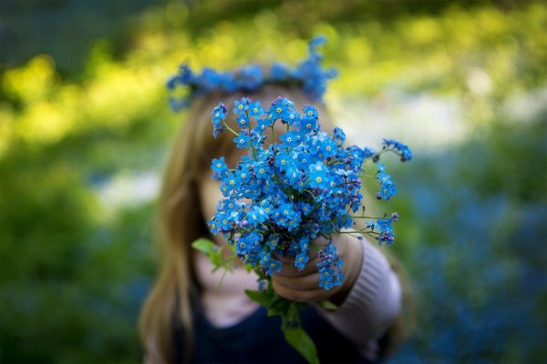 букет незабудки