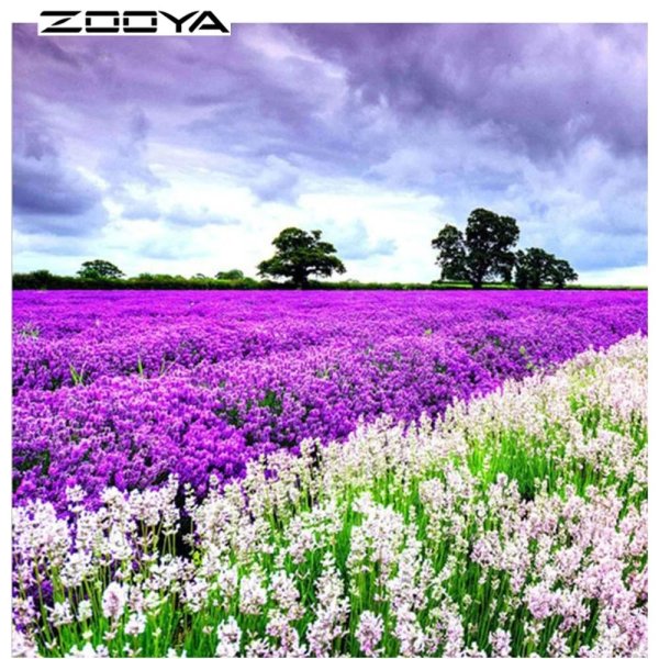 лавандовые поля жан марк жаньячик