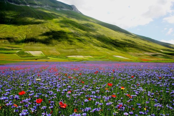castelluccio di norcia