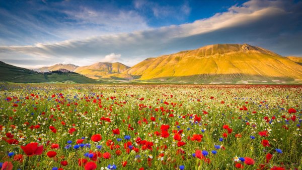 castelluccio di norcia