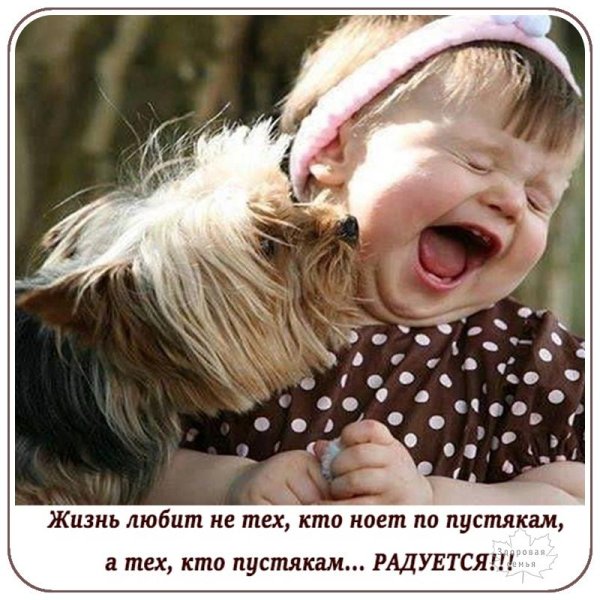 добро прикол