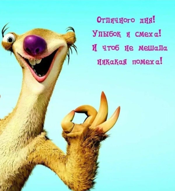 смешное пожелание хорошего дня