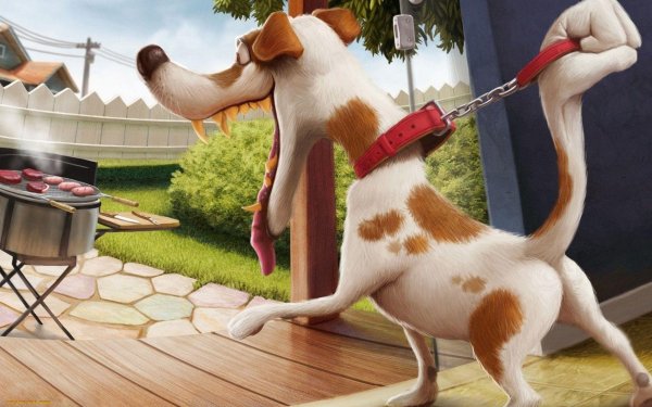 джек рассел терьер