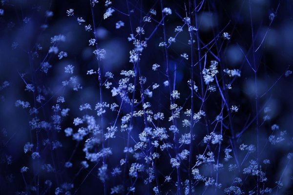 эстетика тёмно синего