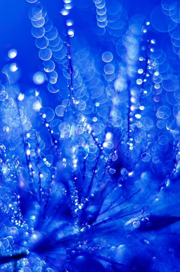 синего цвета