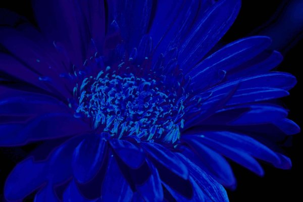 синего цвета