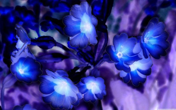 аватар цветов