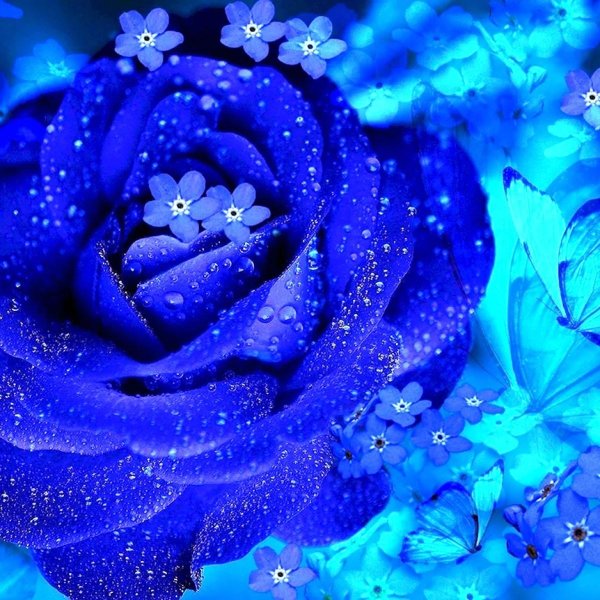 блуе фловер