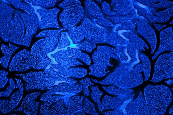 цвета синего