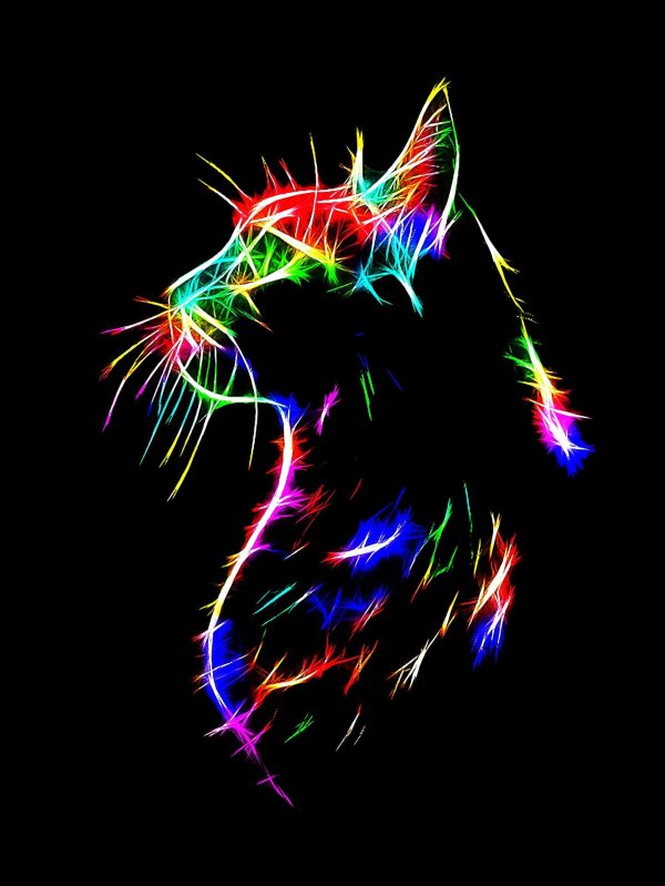 неоновая кошка