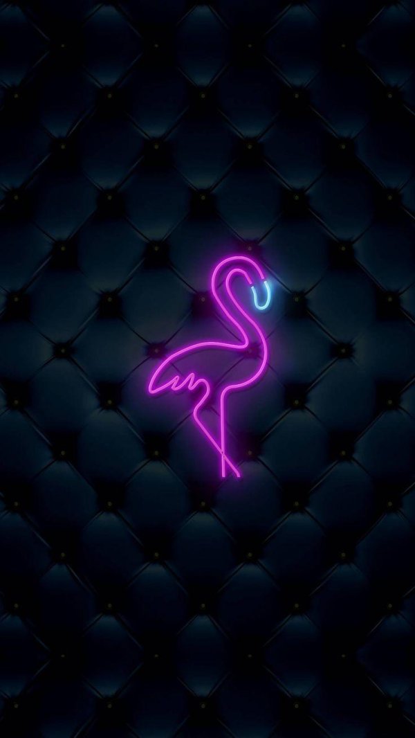 neon flamingo
