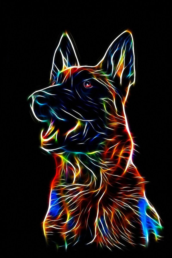 доберман неон