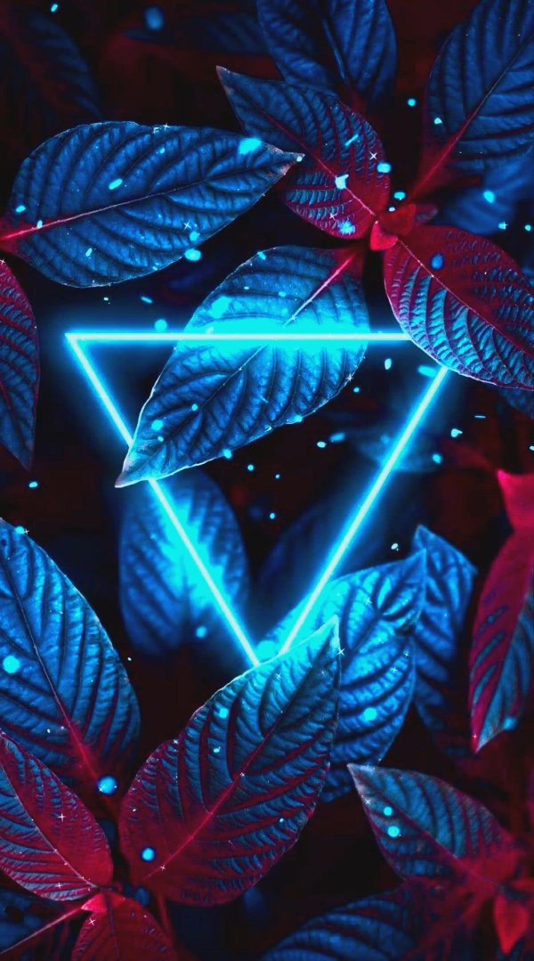 неоновый лис