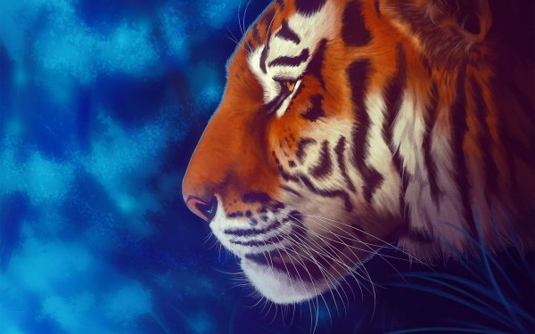 тигр хищники