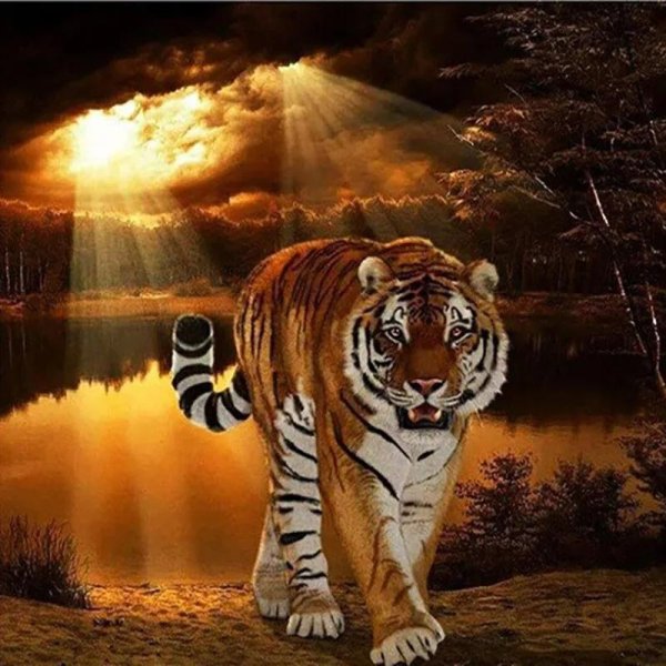 картина с тигром