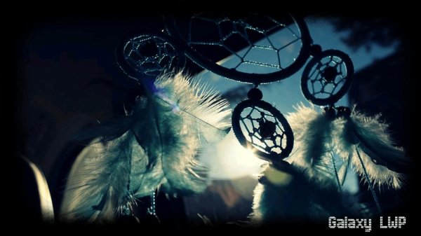 dream catcher