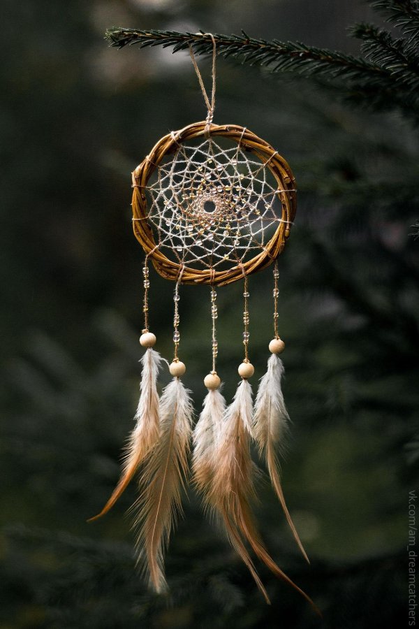 ловец снов лесной