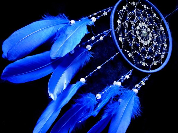 ловец снов синий