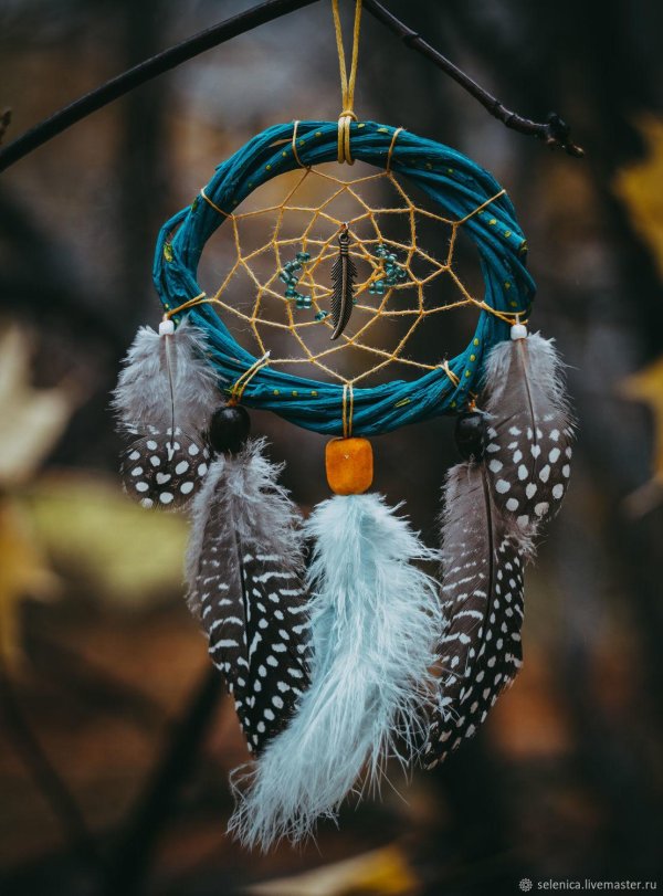 ловец снов большой