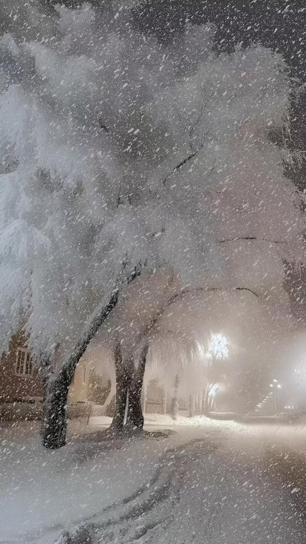 beautiful winter snow