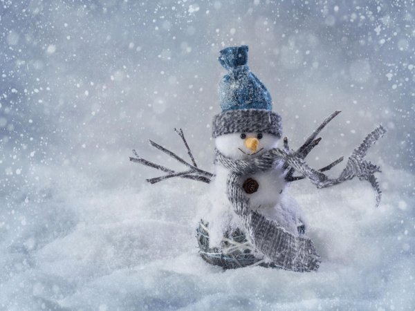 winter snowman