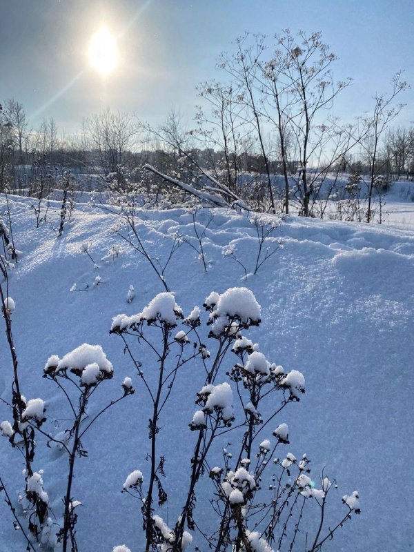 солнце зимнее