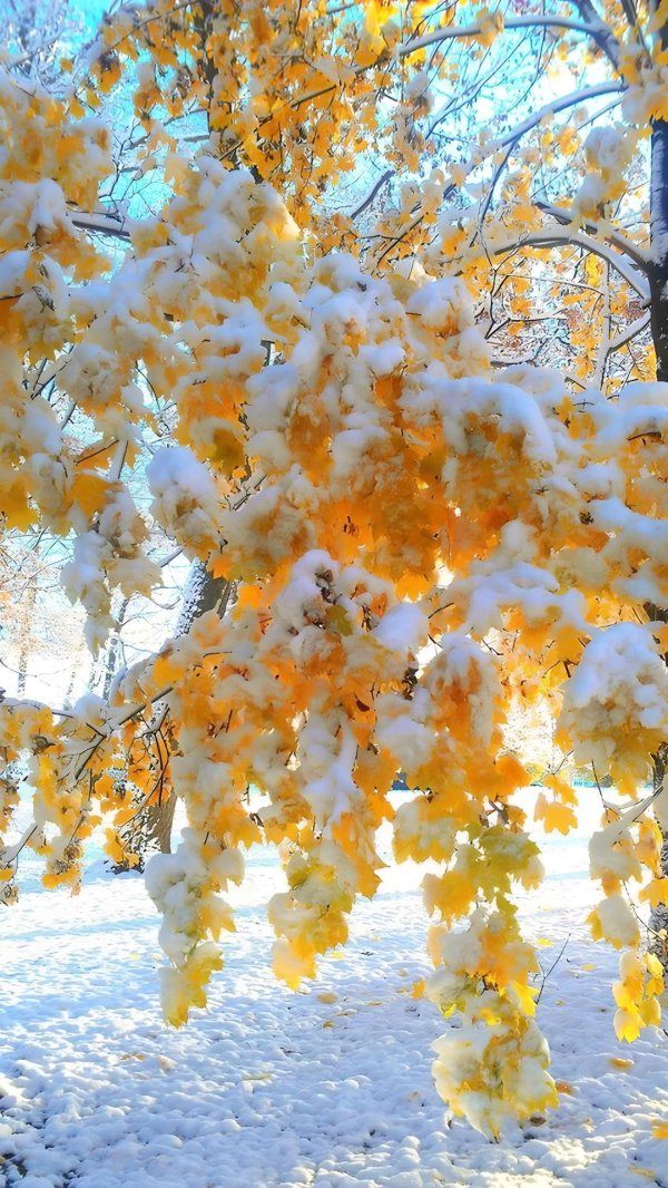 осень со снегом