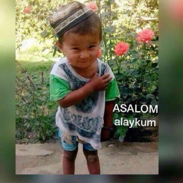 як чахон ташаккур