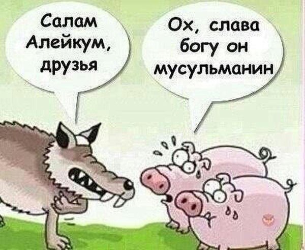 смешные шутки про свиней