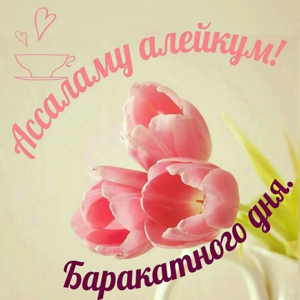 ассаляму алейкум