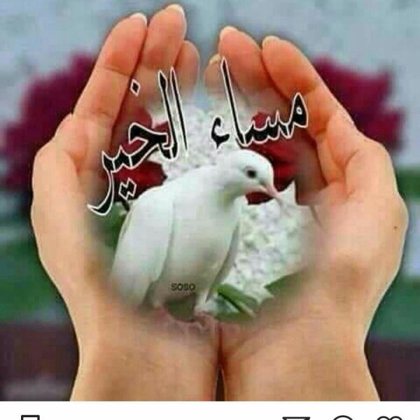 қайырлы таң