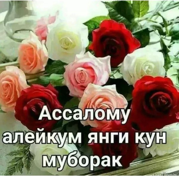 хайрли кун