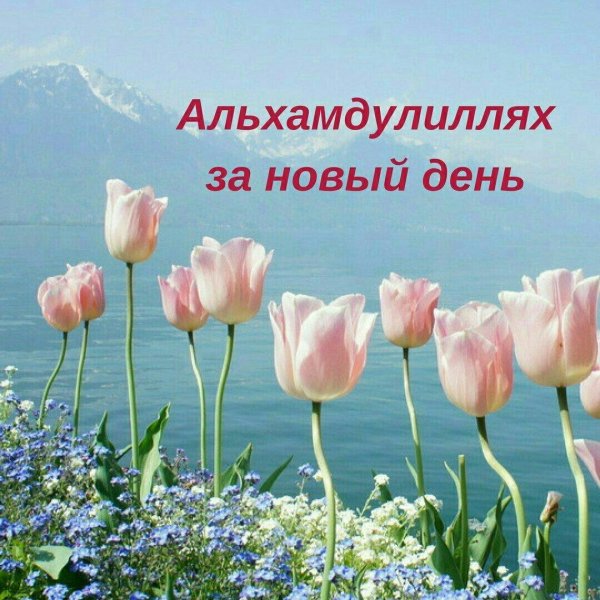 доброго баракатного дня