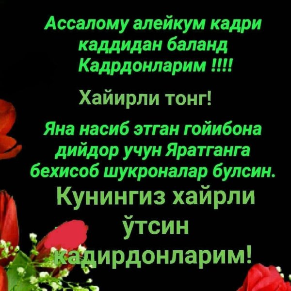 хайирли тонг